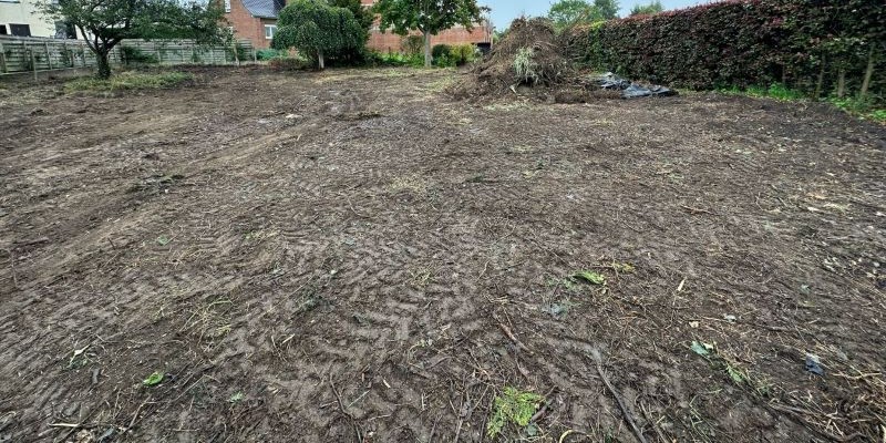 Nivellement et nettoyage de terrain en friches - Brabant wallon - Namur