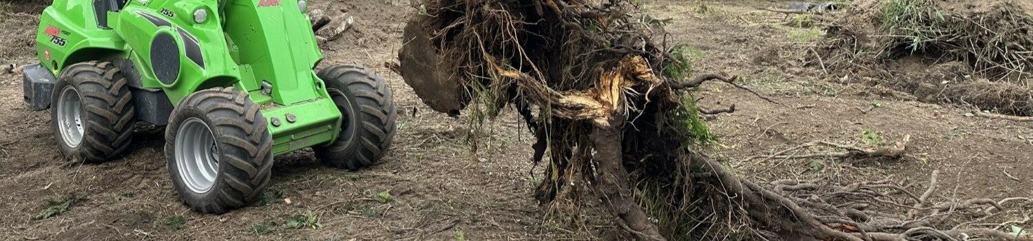 Abattage, dessouchage, broyage, nivellement, terrassement, aménagements extérieurs - Brabant wallon - Namur